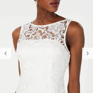NWT. Adrianna Papell Illusion Neck Lace dress. Ivory Size 4